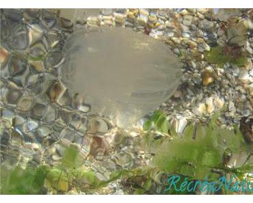 Devinette du Vendredi #5 : Souvenir de Vacances