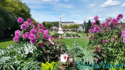 Balade d’Été #5 : le Jardin du Mail à Angers