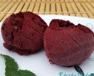 C'est de Saison ! Sorbet aux Mûres du Jardin en Sorbetière