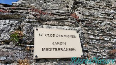 Balade d'Eté près d'Angers #3 : Les Bords de Loire de Ste-Gemme vers La Pointe