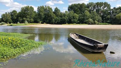 Balade d'Eté près d'Angers #3 : Les Bords de Loire de Ste-Gemme vers La Pointe