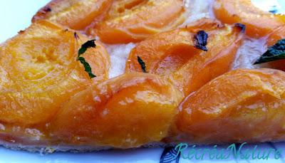 Tarte Fine aux Abricots, Menthe du Jardin - Cuisson Rapide