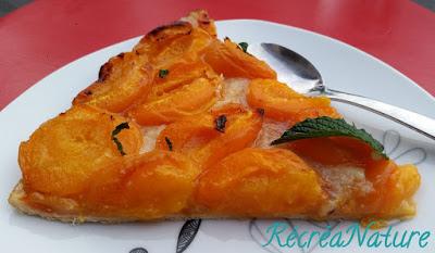 Tarte Fine aux Abricots, Menthe du Jardin - Cuisson Rapide