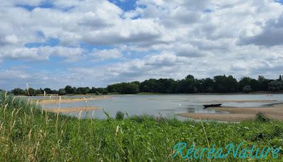 Balade d'Eté près d'Angers #2 : les Bords de Loire à La Pointe - Bouchemaine