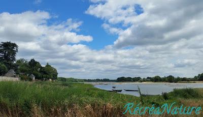 Balade d'Eté près d'Angers #2 : les Bords de Loire à La Pointe - Bouchemaine