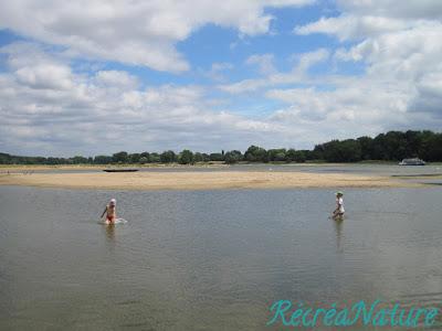 Balade d'Eté près d'Angers #2 : les Bords de Loire à La Pointe - Bouchemaine