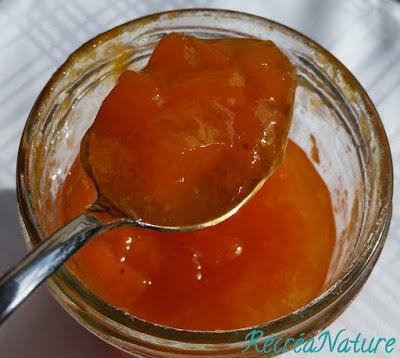 C'est de Saison ! Mes Conseils pour une Confiture d'Abricot Réussie et Facile