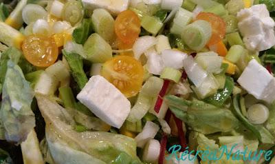 Salade Composée aux Couleurs du Soleil # Recette Facile