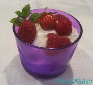 Recette Glacée Facile : Frozen Yogurt et Fruits Rouges du Jardin