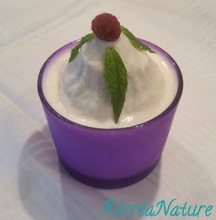 Recette Glacée Facile : Frozen Yogurt et Fruits Rouges du Jardin