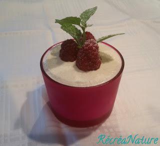 Recette Glacée Facile : Frozen Yogurt et Fruits Rouges du Jardin