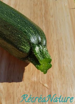 Recette Facile pour une Entrée Gourmande avec les Produits du Jardin : Bricks aux Courgettes, à la Feta et au Thym Citron