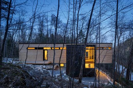 QUAND UNE MAISON-CUBE LANCE L'APPEL DE LA FORÊT !