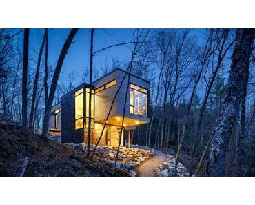 QUAND UNE MAISON-CUBE LANCE L'APPEL DE LA FORÊT !
