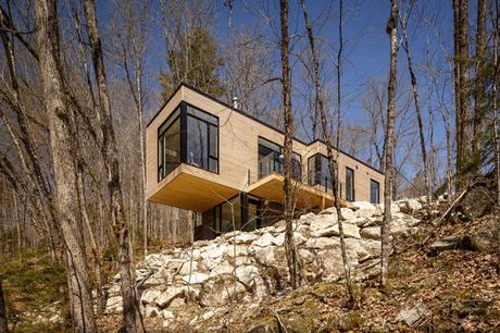 QUAND UNE MAISON-CUBE LANCE L'APPEL DE LA FORÊT !