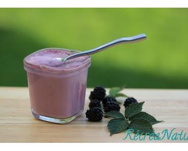 Recette Facile : Comment Faire un Coulis de Mûres et des Idées Gourmandes pour l'utiliser