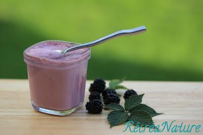 Recette Facile : Comment Faire un Coulis de Mûres et des Idées Gourmandes pour l'utiliser