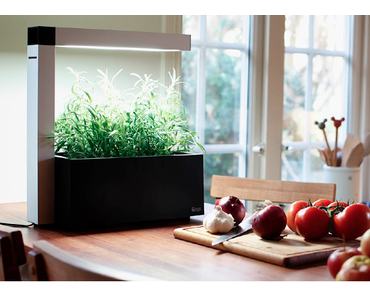 MAISON & OBJET Sept 2015 : so "Green"