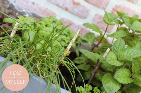 Planter terrace