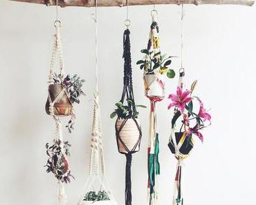 15 ambiances de plantes suspendues