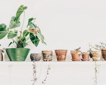 Barcelone / Open House : une maison galerie /