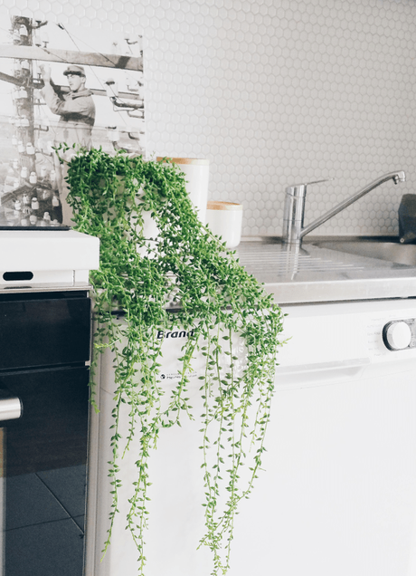 DIY : Une crédence adhésive pour ma cuisine