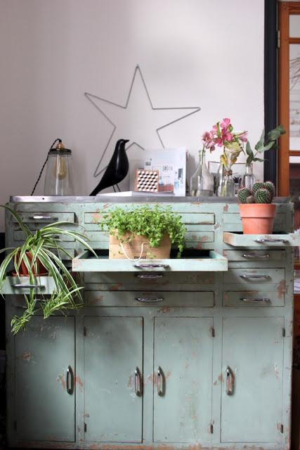 My home / Plantshelfie / Urbanjungebloggers / Photos Atelier rue verte /