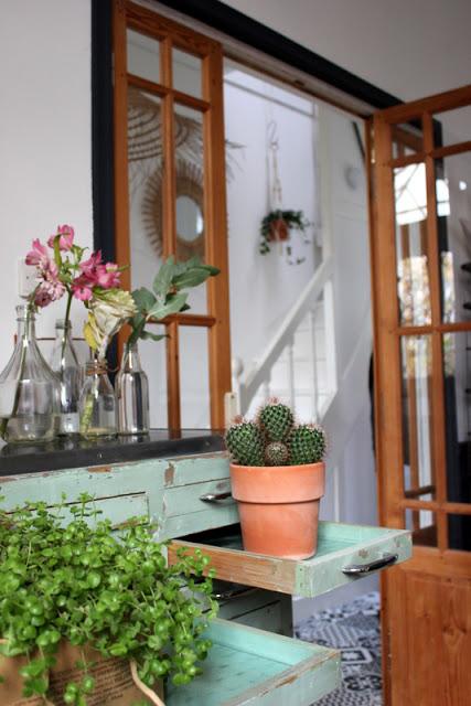 My home / Plantshelfie / Urbanjungebloggers / Photos Atelier rue verte /