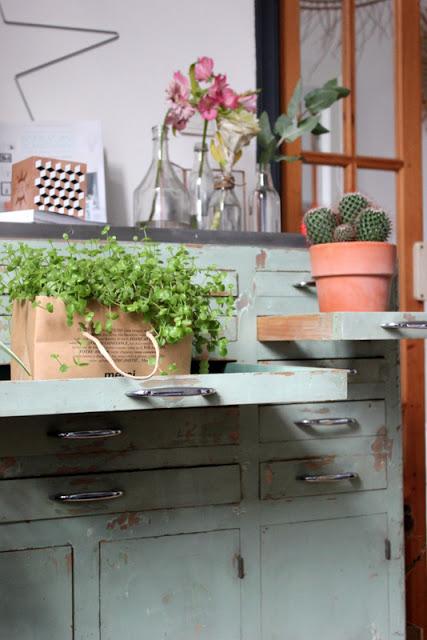 My home / Plantshelfie / Urbanjungebloggers / Photos Atelier rue verte /