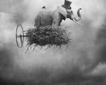 HELLO DECO D'UN DIMANCHE... À DORMIR DANS UN DICTIONNAIRE !