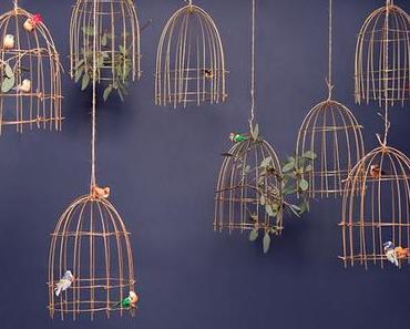 CHRISTMAS SHOT # 13... LE DERNIER !