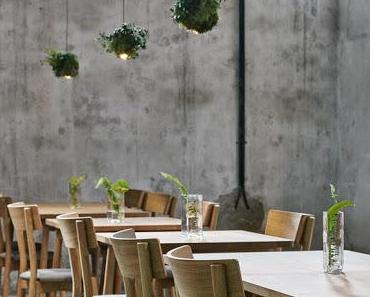 Helsinki / Wild Herb Cafe par Joanna Laajisto  /