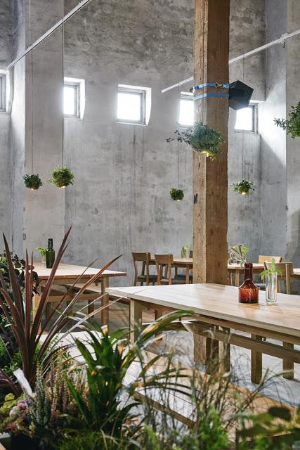 Helsinki / Wild Herb Cafe par Joanna Laajisto  /