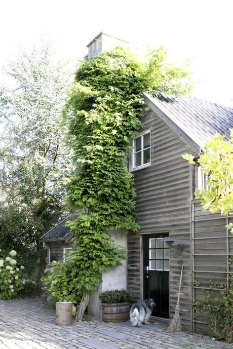Une maison scandinave inspirée par le minimalisme japonais