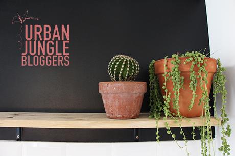 urbanjungle-7