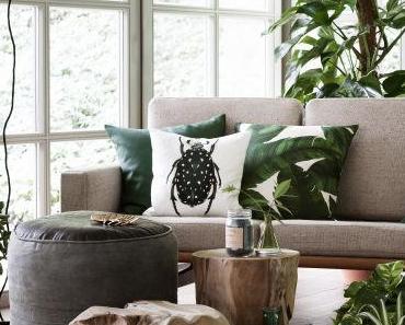 Tendance Terre Emeraude : ça vous tente ?