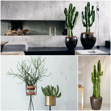 cactus crayon pot ferm living choisir sa plante d'intérieur