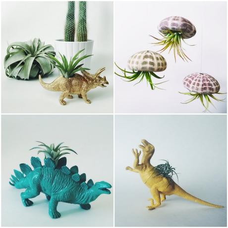 Pot pour succulente dinosaure en plastique