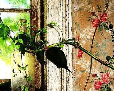 HELLO DECO D'UN DIMANCHE BUCOLIQUE