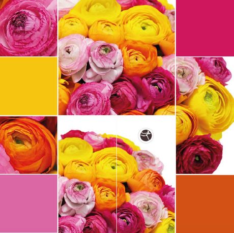 quelle fleur offrir a sa grand mere