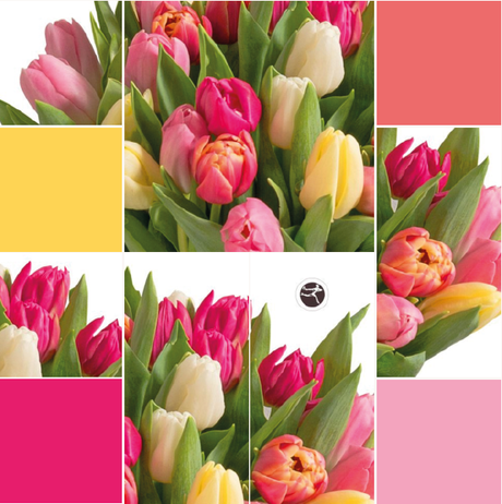 quelle fleur offrir a sa mere