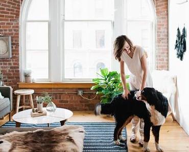 Intérieur sublime à Minneapolis