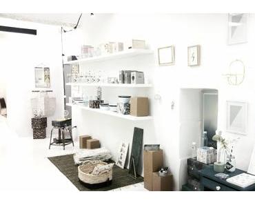 A la découverte de l’Igloo