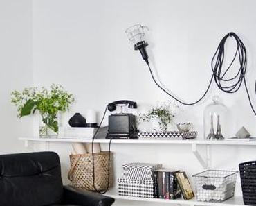 Ambiances cabinet de curiosités contemporaines