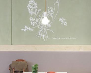 Pays Bas / Couleurs tendres pour une librairie-café /