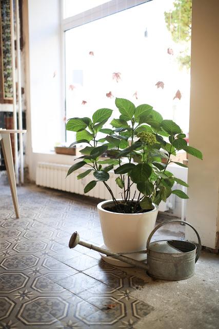 Berlin / Karakulowa : une boutique aux sublimes carreaux de ciment /