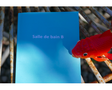 COMMENT J'AI GAGNE À UN BLOG-CONCOURS... UN CONSEIL DÉCO !