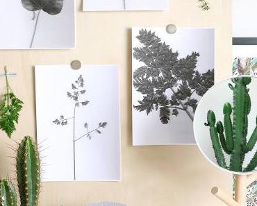 Une autre façon de mettre en scène le végétal