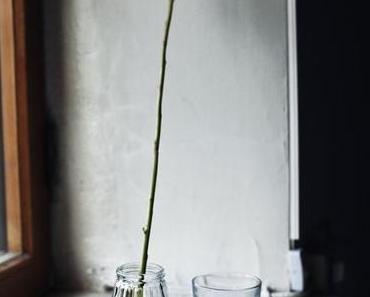 HELLO DÉCO D'UN DIMANCHE DE PRINTEMPS (IL PARAIT) !