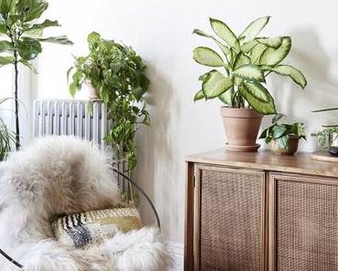 Un superbe appartement esprit kinfolk à Brooklyn